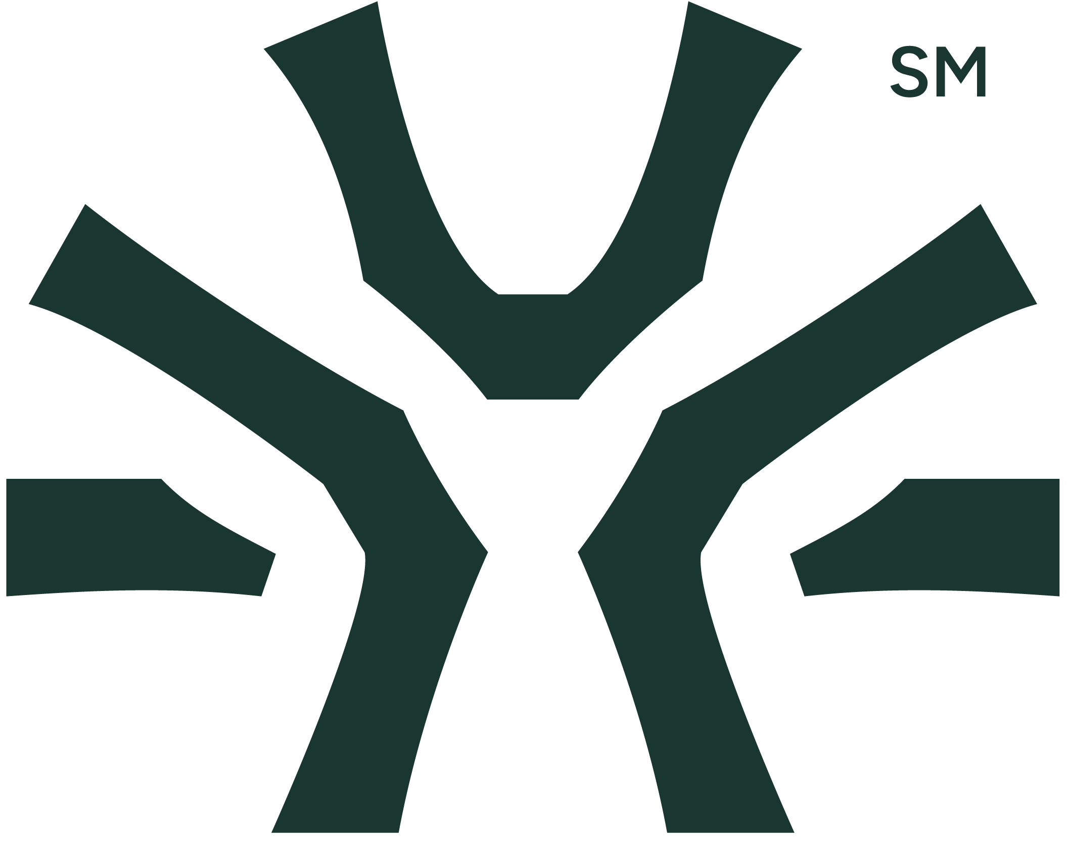 Professional Mindset Development 